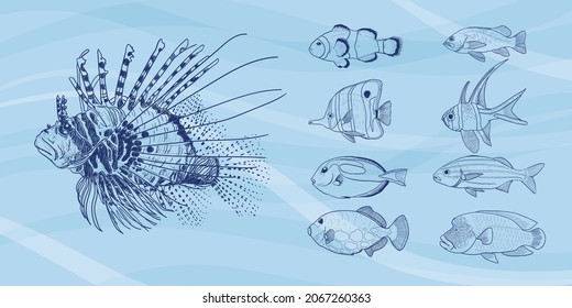 Sketch of coral fishes with water flow background