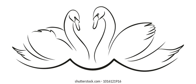 Sketch of couple swans
