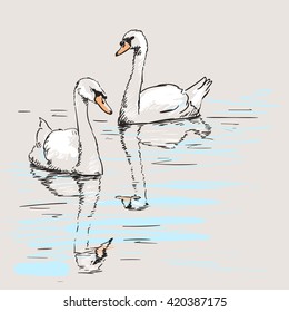 Sketch of couple of swans with reflection on water, Hand drawn illustration