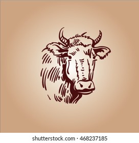 sketch of cow