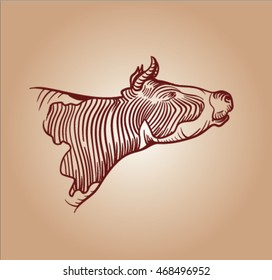 sketch of cow
