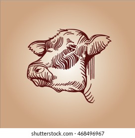 sketch of cow
