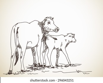Sketch of cow and calf, Hand drawn vector illustration