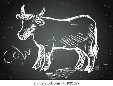 Sketch of cow chalk on a blackboard. Vector file.