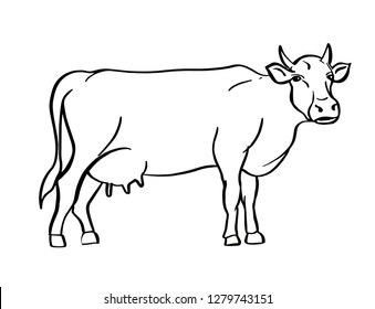 Sketch Cow Drawn By Hand Livestock Stock Vector (Royalty Free ...