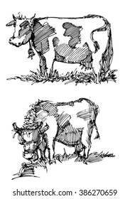 Sketch of cows