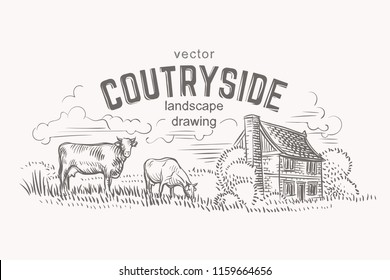 Sketch Of Cows And Farmer House. Hand Drawn. Vector.