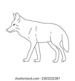 Sketch of Coyote drawn by hand. Vector hand drawn illustration.