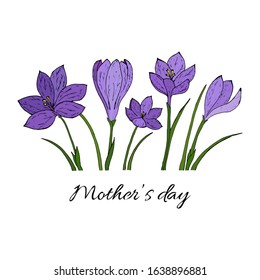 Sketch with crocuses in a row on the bottom of the page. Text Mother's Day on colorful crocuses.