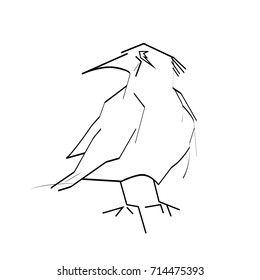 Sketch crow on the white background