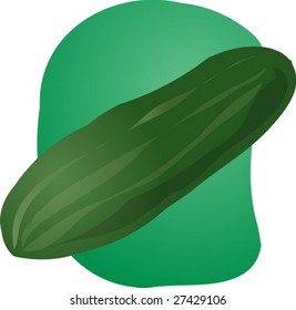 Sketch of a cucumber. Hand-drawn lineart look illustration