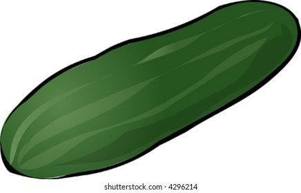 Sketch of a cucumber. Hand-drawn lineart look illustration