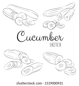 Sketch with cucumber. Vector paint hand drawn composition with cucumbers in cartoon style. Isolated on white background.