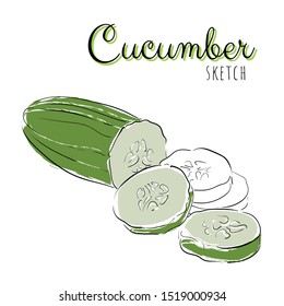 Sketch with cucumber. Vector paint hand drawn composition with cucumbers in cartoon style. Isolated on white background.
