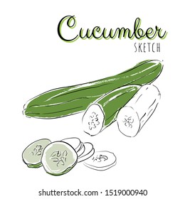 Sketch with cucumber. Vector paint hand drawn composition with cucumbers in cartoon style. Isolated on white background.