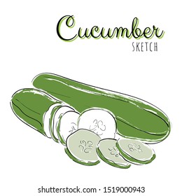 Sketch with cucumber. Vector paint hand drawn composition with cucumbers in cartoon style. Isolated on white background.