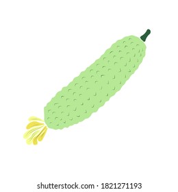Sketch of a cucumber. Vegetable doodle. Vector isolated outline element for design.