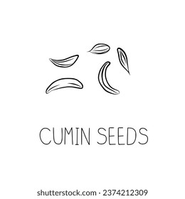 Sketch Cumin Seeds Simple Vector Illustration in Doodle Style