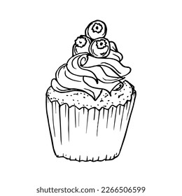 Sketch  cupcake.hand draw. Vector illustration