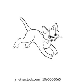 Sketch cute cat animal running cheerfully. Funny hand drawn monochrome kitten pet. Domestic adorable feline kitty character. Vector flat illustration isolated.
