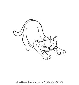 Sketch cute cat animal stretching back. Funny hand drawn monochrome kitten pet. Domestic adorable feline kitty character. Vector flat illustration isolated.