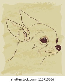 sketch of cute Chihuahua dog on a piece of old paper