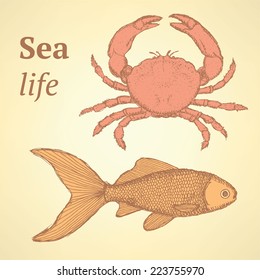 Sketch cute crab and fish  in vintage style, background