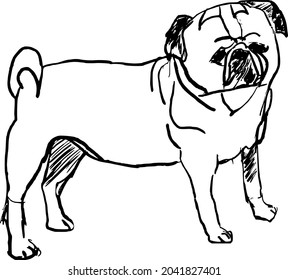 A sketch of a cute dog