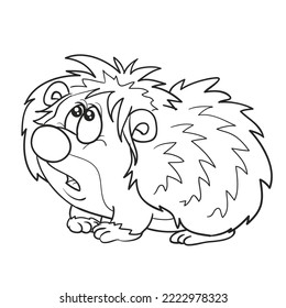 sketch, cute hedgehog character looking up puzzled, coloring book, cartoon illustration, isolated object on white background, vector, eps