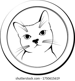 sketch of cute kitten in circle for logo