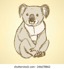 Sketch Cute Koala In Vintage Style, Vector