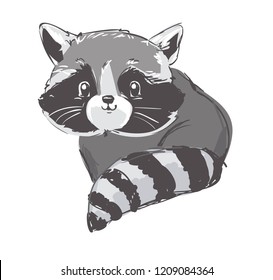 sketch cute raccoon vector illustration