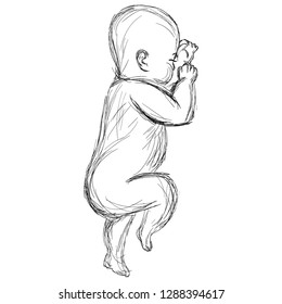 Sketch cute sleeping baby  Line art  Newborn illustration  Hand drawn vector lying kid isolated white background