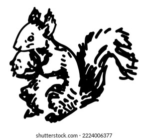 Sketch of cute squirrel eats nut. Hand drawn vector illustration. Doodle of forest wild animal. Single drawing isolated on white. Element for design, decor.
