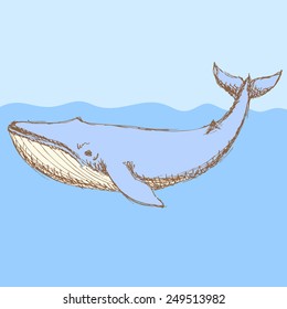 Sketch cute whale in vintage style, vector