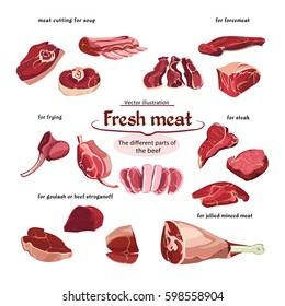 Sketch cutting beef meat parts collection for different dishes and meals cooking isolated vector illustration