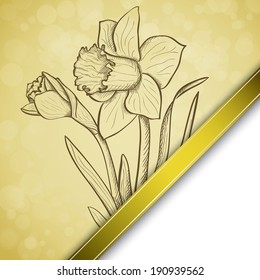 Sketch  daffodil background, hand drawn, ink style