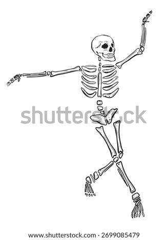 Sketch of a dancing skeleton. Hand-drawn ink vector illustration of an animated figure. Linear graphic elements for Halloween design, isolated on a white background.