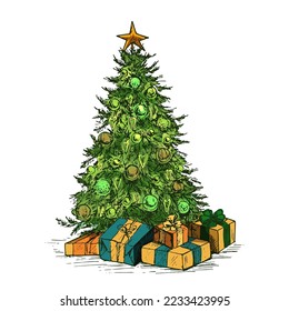 Sketch of decorated spruce or fir tree, vector