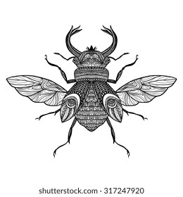 Sketch decorative bug with hand drawn ornament black vector illustration