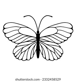 Sketch of a decorative butterfly, night moth.Vector graphics.