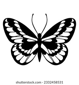 Esbozo de una mariposa decorativa, polilla nocturna.Gráficos vectores.
