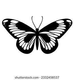 Esbozo de una mariposa decorativa, polilla nocturna.Gráficos vectores.