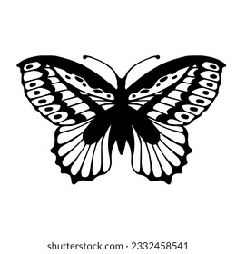 Esbozo de una mariposa decorativa, polilla nocturna.Gráficos vectores.