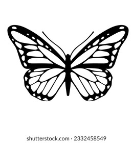 Sketch of a decorative butterfly, night moth.Vector graphics.