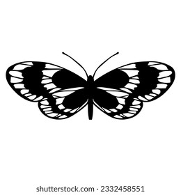 Sketch of a decorative butterfly, night moth.Vector graphics.