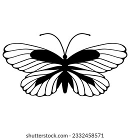 Esbozo de una mariposa decorativa, polilla nocturna.Gráficos vectores.