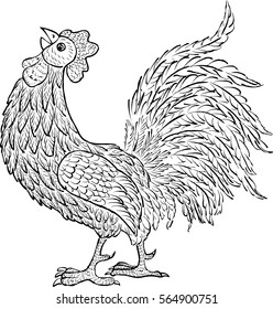sketch of a decorative cock