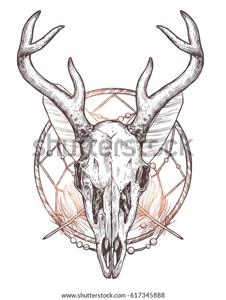 Sketch Deer Skull Dreamcatcher Feathers Boho Stock Vector (Royalty Free ...