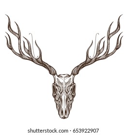 Sketch of deer skull. Outline vector illustration for tattoo, printing on t-shirts, posters and other items.